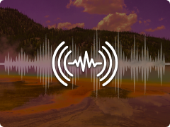 Echo Icon